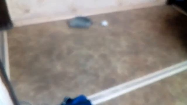 Еж и яйцо смотреть онлайн