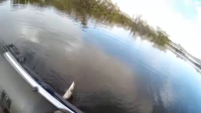 Ловля щуки с лодки. Часть 3 смотреть онлайн