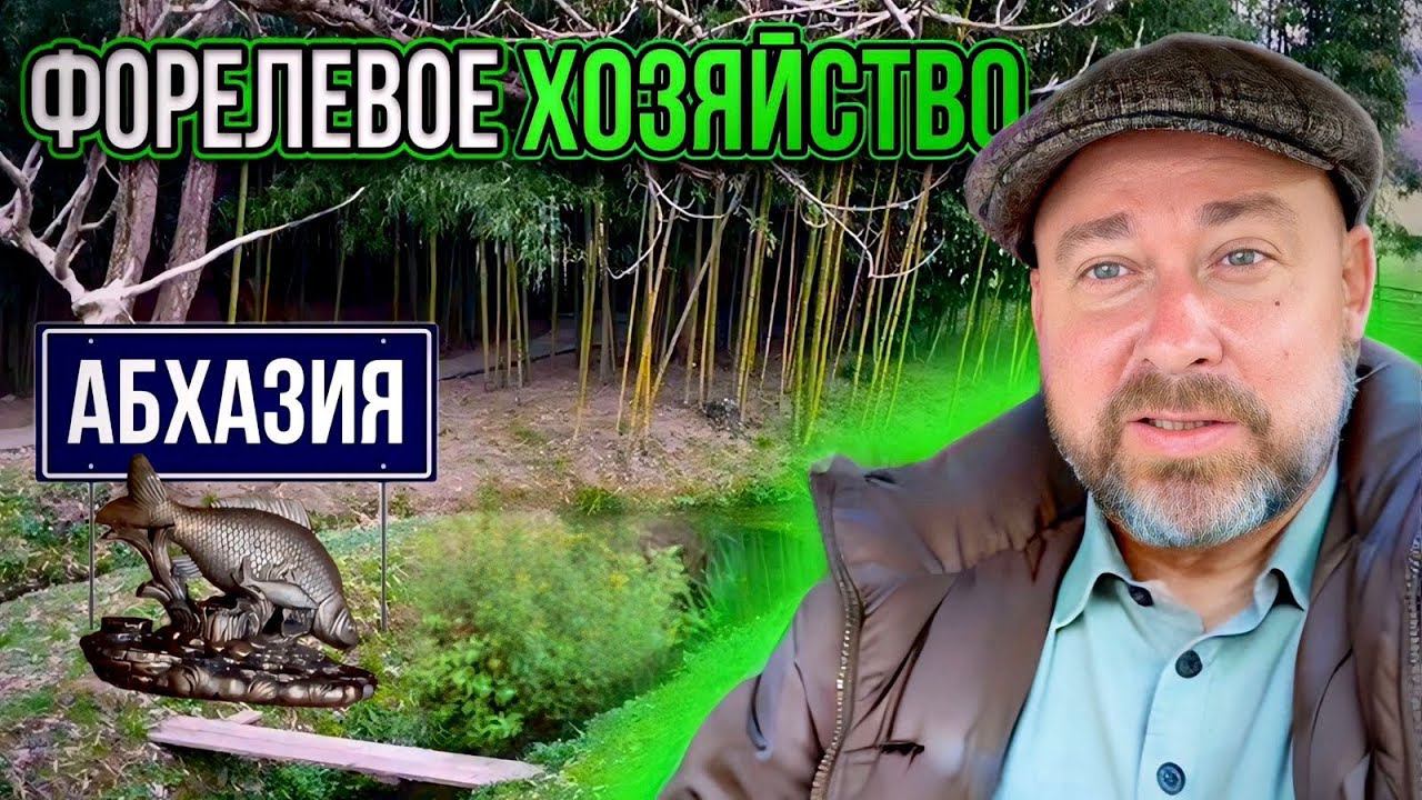 Абхазия 2024. Где я живу? | Поехал смотреть форелевое хозяйство смотреть онлайн