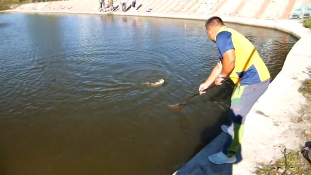 Как я поймал тунца !!! смотреть онлайн