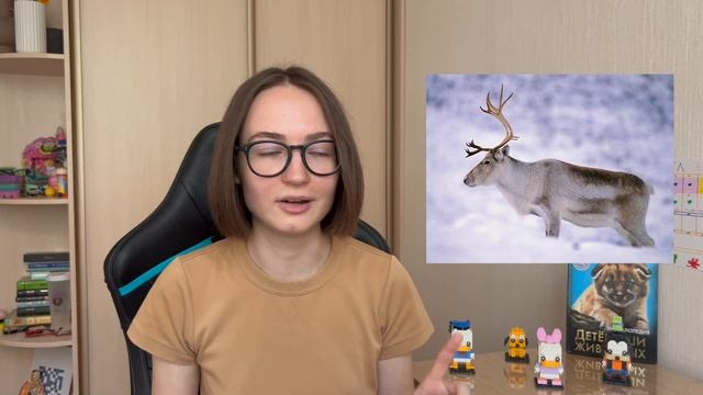 8 уникальных животных Арктики смотреть онлайн