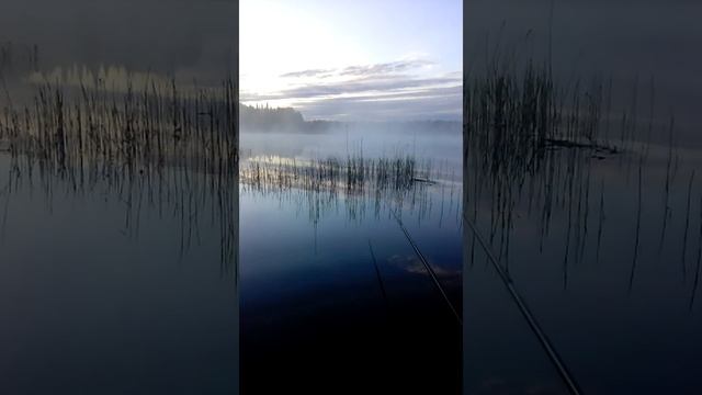 утро, лодка, карась не клюет смотреть онлайн
