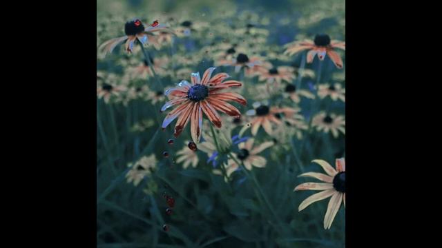 Det Metra - Crazy Daisy смотреть онлайн