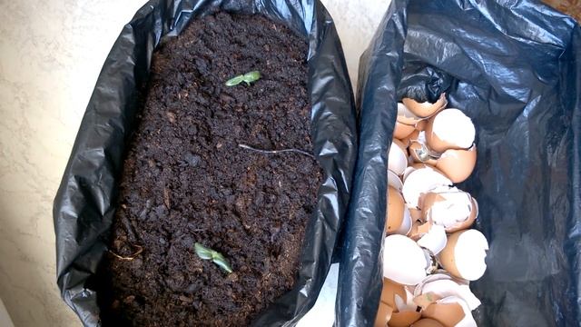 Строительный Детектив