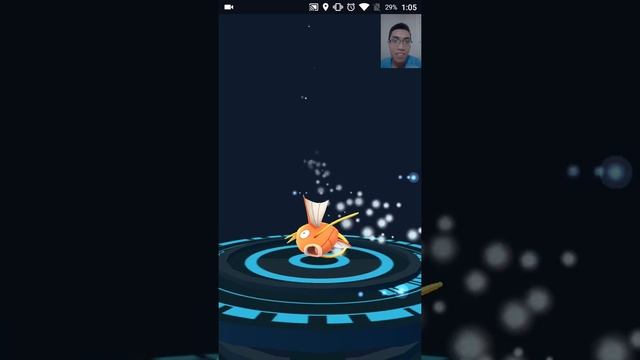 Gyarados 1k5 | Magikarp Evolution | Pokemon GO смотреть онлайн