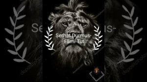 Serhat Durmus -_- Elimi Tut