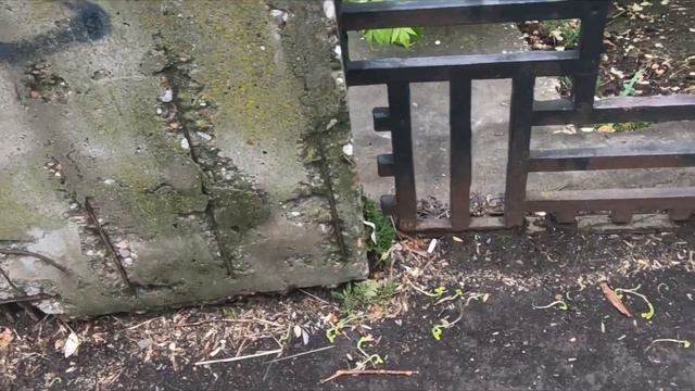 Ужасное состояние набережной Камы в Закамске г Пермь Кировский район смотреть онлайн