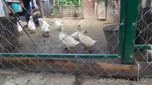 Муларды. Лучшие фото. смотреть онлайн