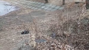 KANTORA-VL Большой джип 6х6 на пульте управления, на пульте управления.
