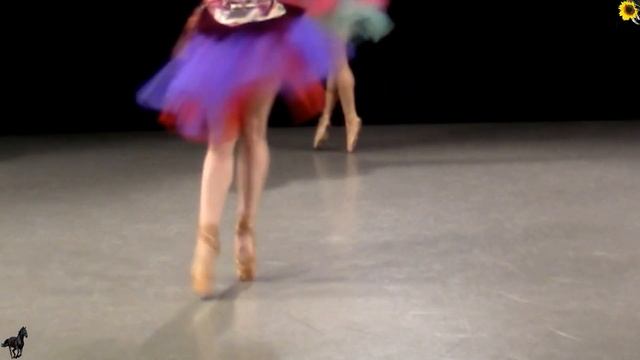 ZINGARELLA _romanian gypsy dance on pointe смотреть онлайн