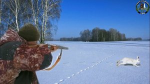 ЗАГНАЛИ ЕГО В РЕКУ! Охота на зайца с гончей 2023.