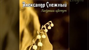 Расцвела сирень