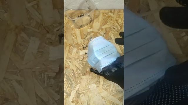 Как легко и быстро собрать мелкие саморезы ! #shorts смотреть онлайн
