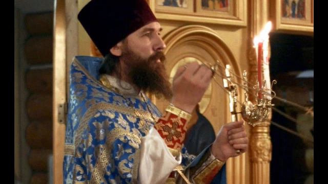 В жизнь вечную. Проповедь протоиерея Сергия в Димитровскую субботу. 07.11.2021 смотреть онлайн