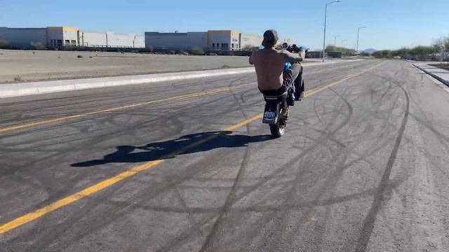 Honda monkey wheelies смотреть онлайн