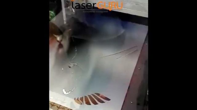 Прецизионный станок лазерной резки sekirus P0302М-0604 смотреть онлайн