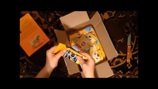 Подарок для щенка смотреть онлайн