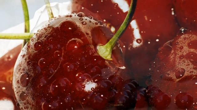 Вишневый сад как бизнес идея Технология выращивания вишни, посадка, уход, сбор урожая смотреть онлайн