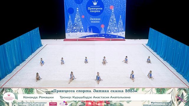 Принцесса спорта. Зимняя сказка 2023 - Ромашки - Куршубадзе Анастасия Анатольевна.
