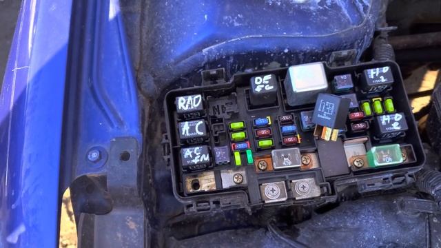 2004 Honda Civic Horn Fuse & Relay смотреть онлайн
