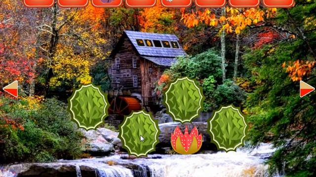 adventure alphapets forest escape video walkthrough смотреть онлайн