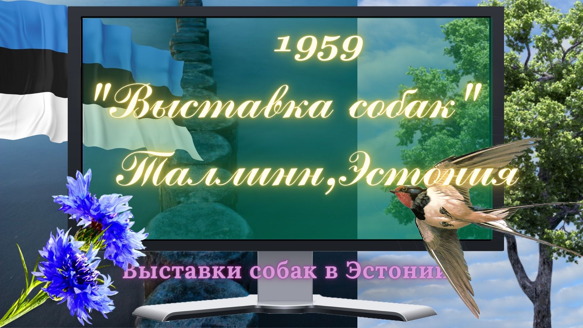 1959г. Выставка служебных собак. Таллинн,Эстония.