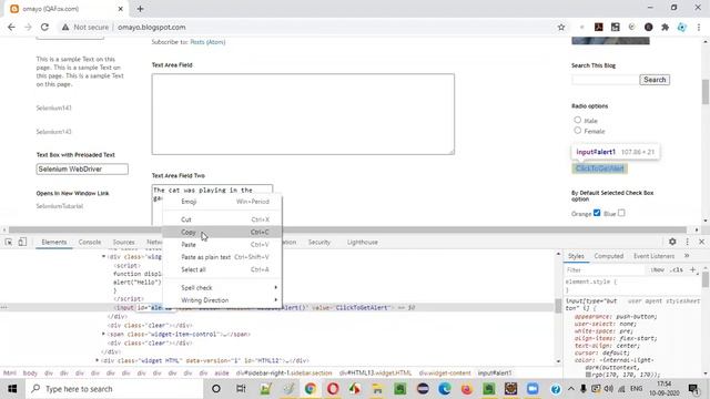 id Command() - Selenium WebDriver смотреть онлайн