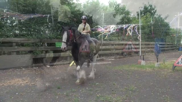 Shire Horse Riding - Backing And Hacking A Young Heavy Horse