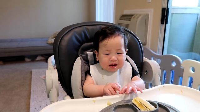 Baby's first week of baby led weaning смотреть онлайн