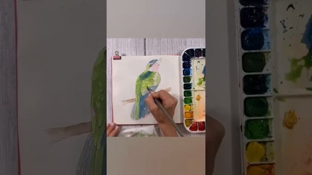 Рисуем кукушку акварелью ? смотреть онлайн