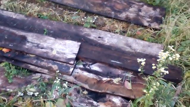 Посадка шампиньонов на даче, простой способ смотреть онлайн