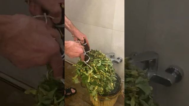 Замачиваем веники для парения в русской бане смотреть онлайн