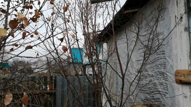 #Фундук. От орешка до дерева на собственном участке смотреть онлайн