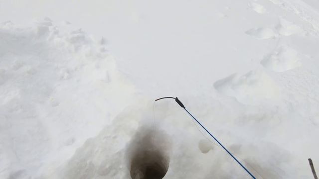 НА РЫБАЛКЕ ПОТЕПЛЕНИЕ))), А ПОПАЛИ КАК В ГЛУХОЗИМЬЕ! РЫБАЛКА БЕЗ ХАЛЯВЫ ТРУДОВАЯ И МОРОЗНАЯ! смотреть онлайн