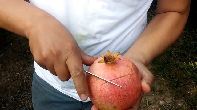 ?AMAZING You Have Never Seen Such A Thing! Why Did I Learn At This Age? ==SÜPER NAR SOYMA YÖNTEMİ.. смотреть онлайн