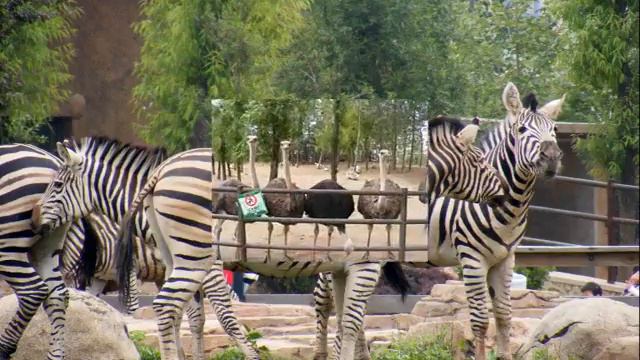 КНР. Далянь 1часть смотреть онлайн