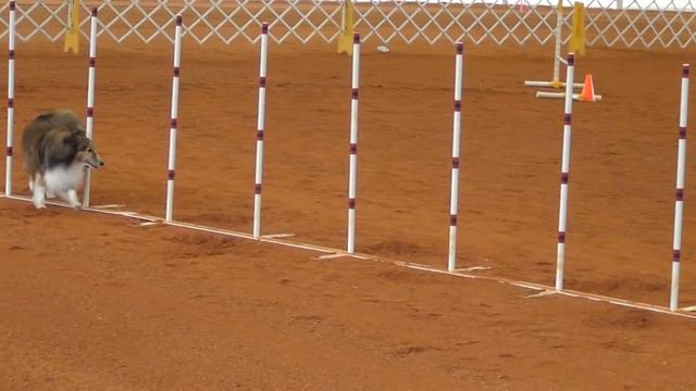 Abby's JWW, Miami, FL, December 6, 2015, Cindy Elliott Deak, 2nd place. Half a QQ! смотреть онлайн