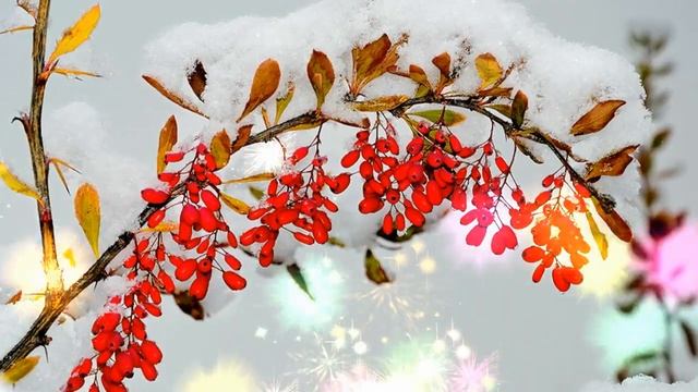 Красивая мелодия. Музыка для души . смотреть онлайн