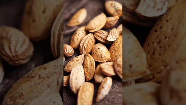 Вкусный миндаль для сада смотреть онлайн
