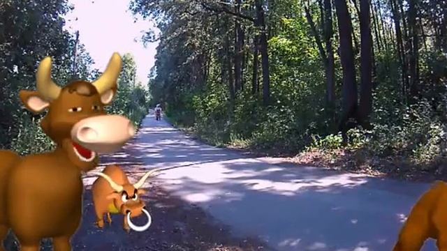 МОНОКОЛЕСО В ЛЕСУ смотреть онлайн