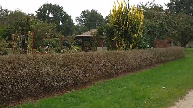 Дачи в Германии. Садовое товарищество. Общий вид. смотреть онлайн