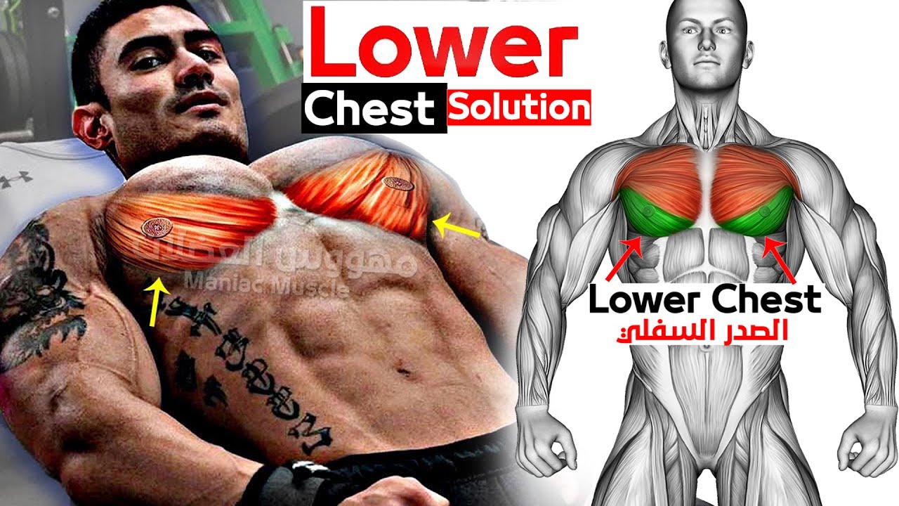 лучшее упражнение для тренировки нижней части груди ? WORKOUT ? смотреть онлайн