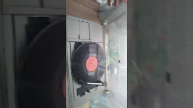 Сириус+316 смотреть онлайн