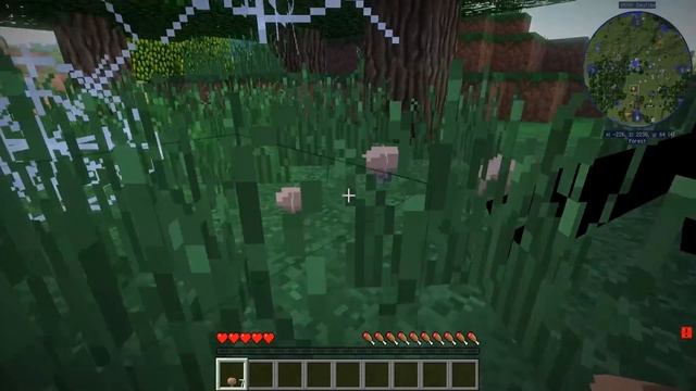 КАК ИГРАТЬ ЗА СВИНЬЮ В МАЙНКРАФТЕ, КРУТЫЕ ИСПЫТАНИЯ - MINECRAFT ПРЕВРАЩЕНИЯ В МОБОВ смотреть онлайн