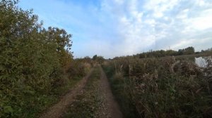 РЫБАЛКА в рыбхозе "НАРСКИЕ ОСТРОВА", ЛОВИМ КАРАСЯ на ФИДЕР. Отличная рыбалка!