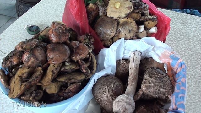 Собираем Грибы в МАЕ + Готовка (Зонтики + Кролик) + GPS смотреть онлайн