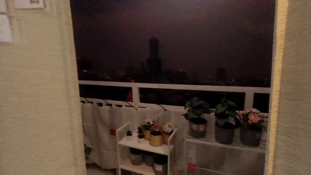 САМЫЙ ТУПОЙ ТАЙВАНЬСКИЙ ЗАКОН/ ИКЕЯ ТАЙВАНЬ