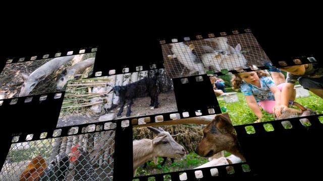 База отдыха "Усинская" смотреть онлайн