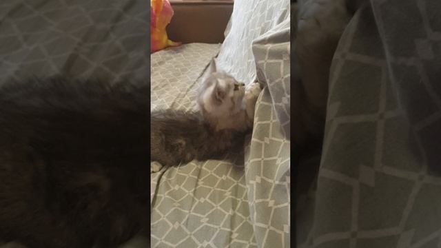 Юки смотреть онлайн