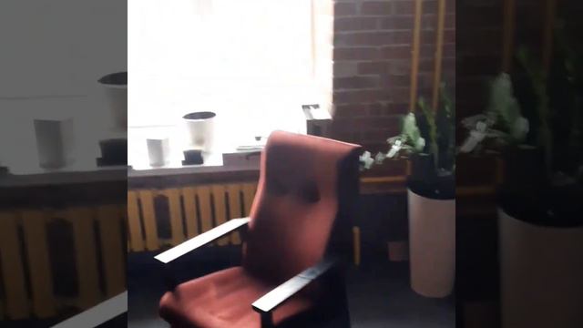 результат для авито смотреть онлайн